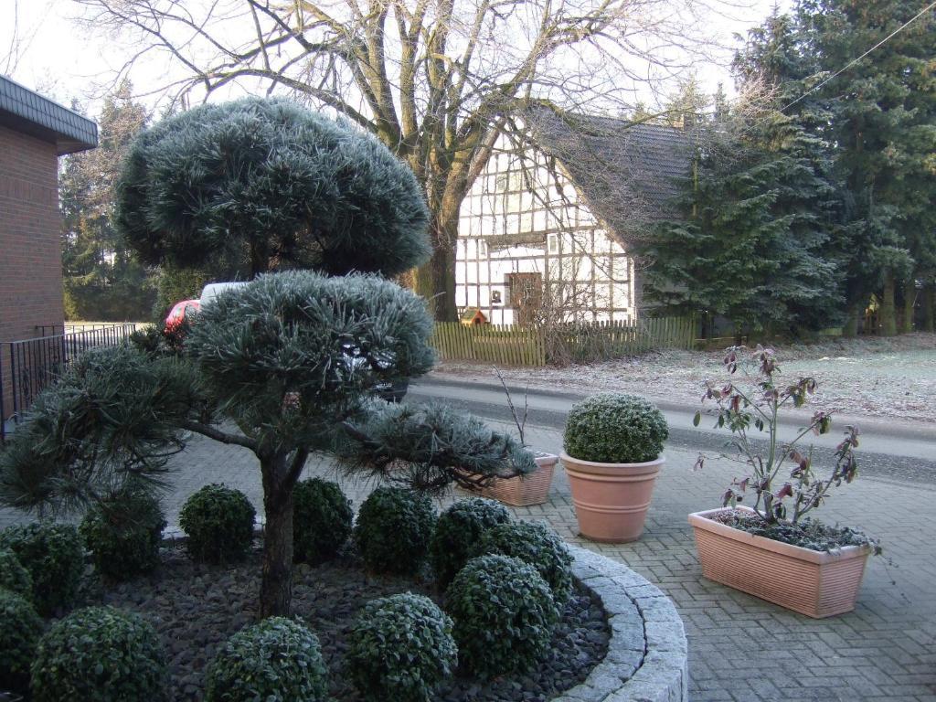 Hotel Rose Georgsmarienhütte Exteriör bild
